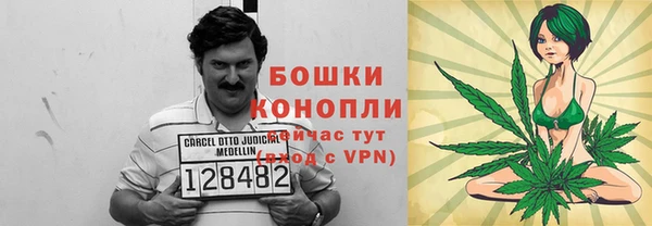 apvp Белокуриха
