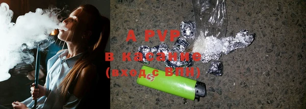 хмурый Няндома
